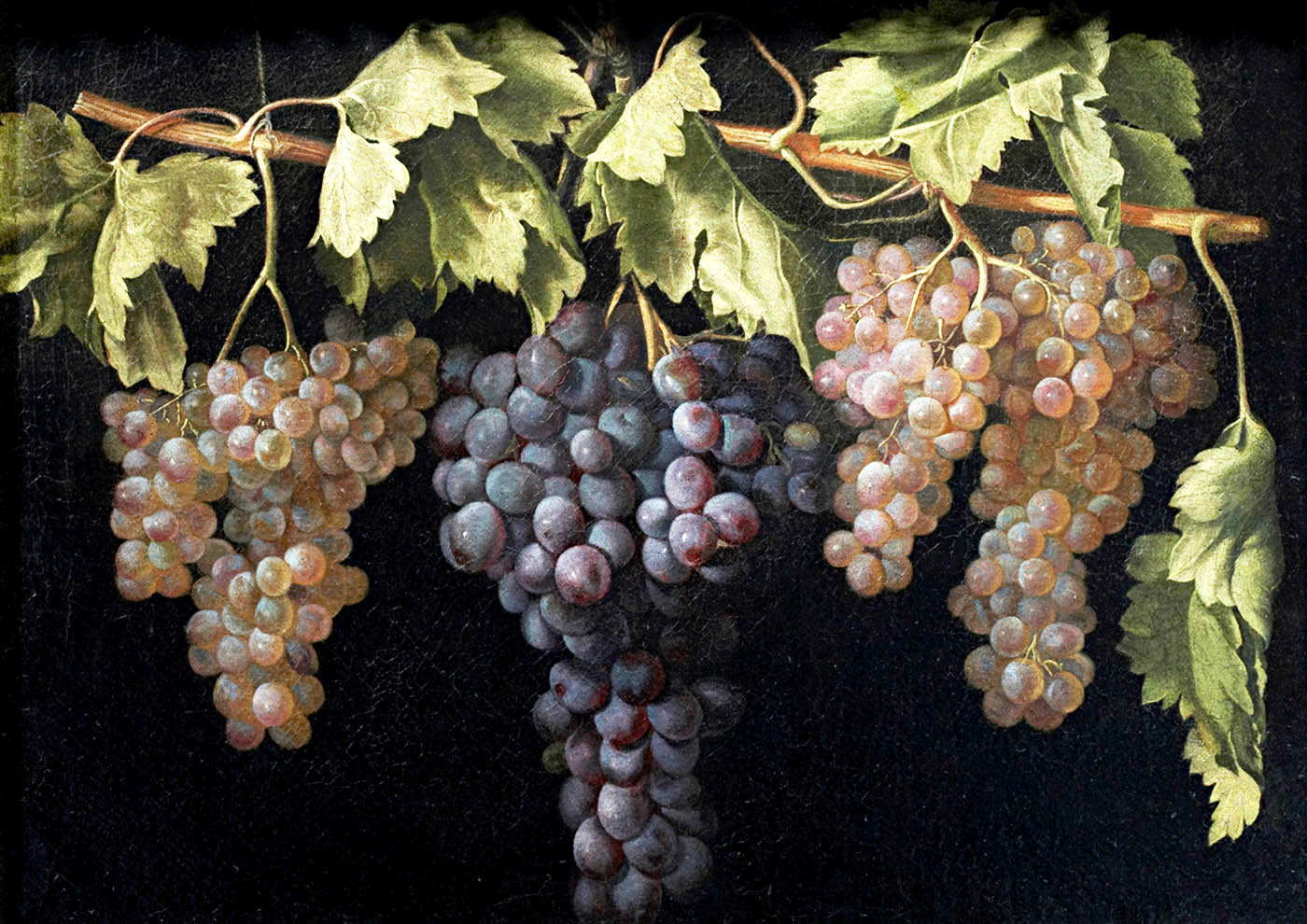 labrador zeuxis four bunches grapes painting