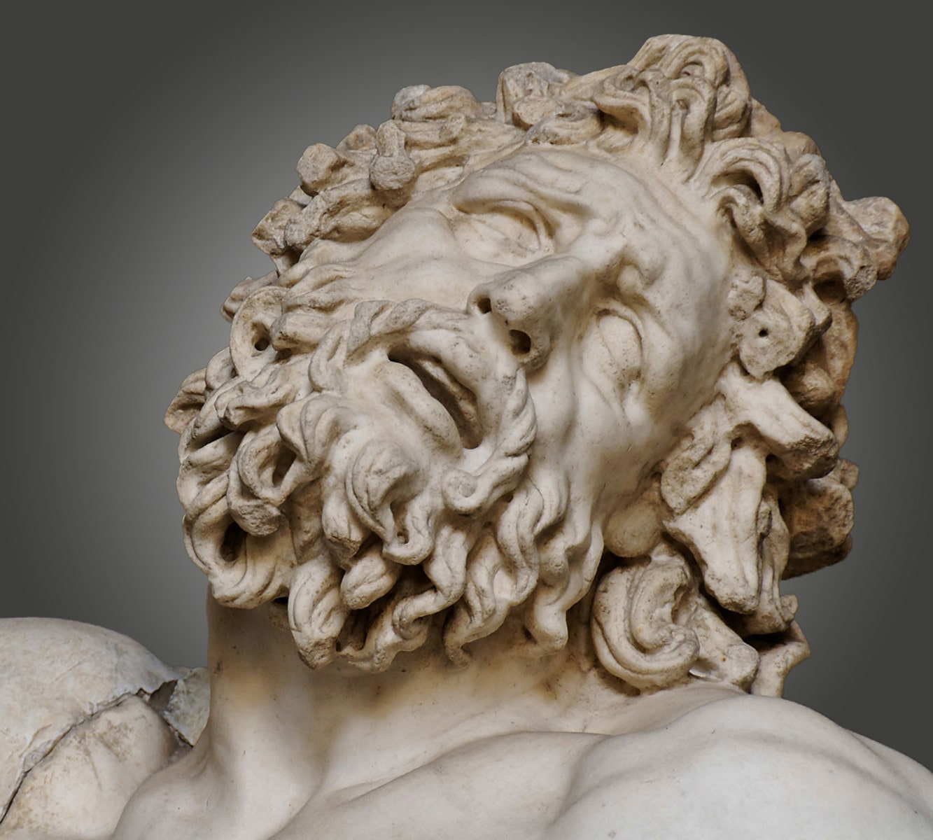 laocoon head