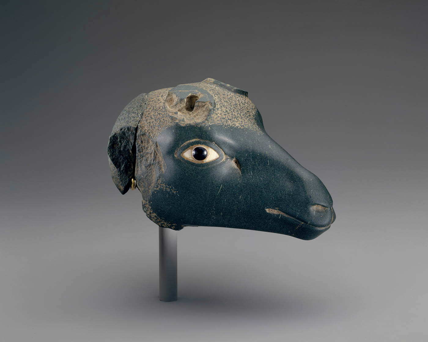 late period egypt antelope head