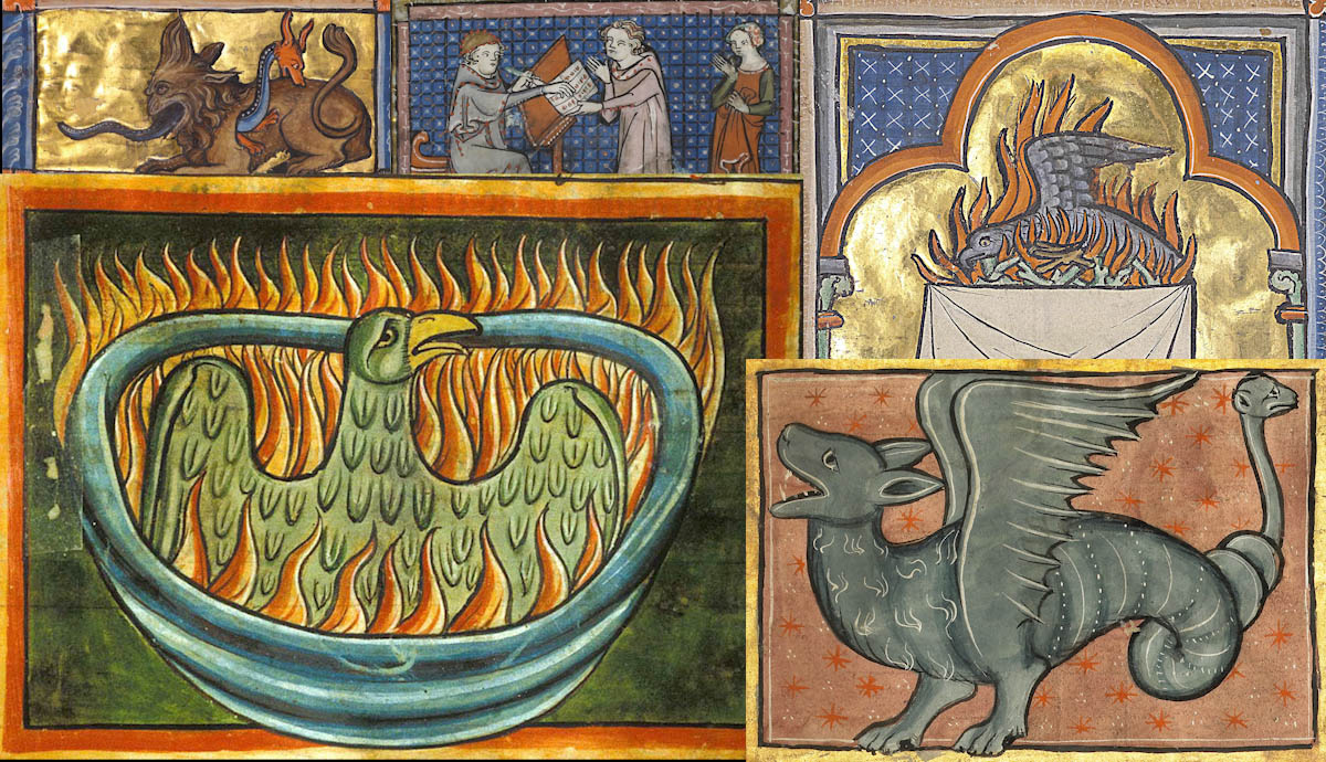 medieval bestiaries winged dragon phoenix