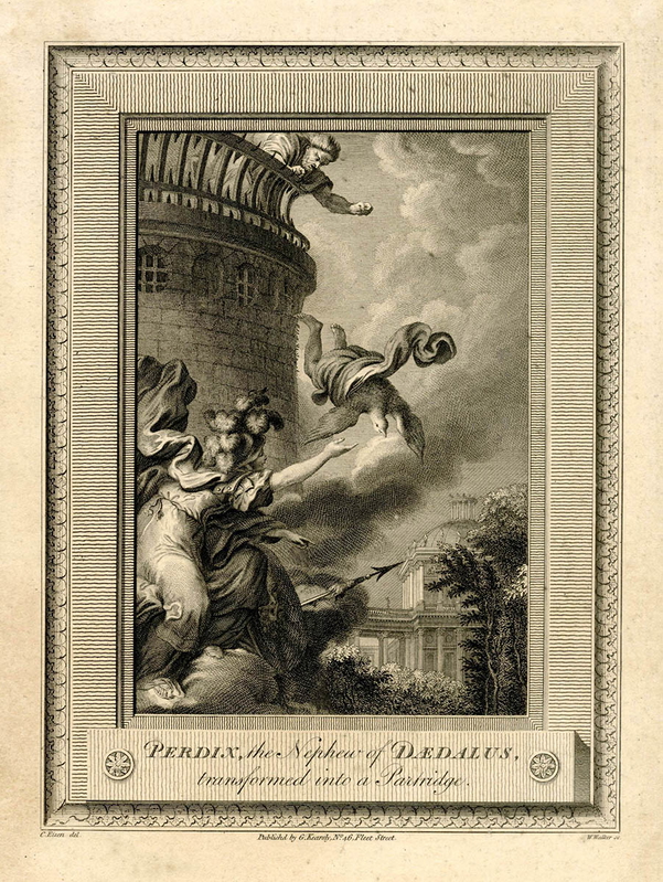perdix athena daedalus print