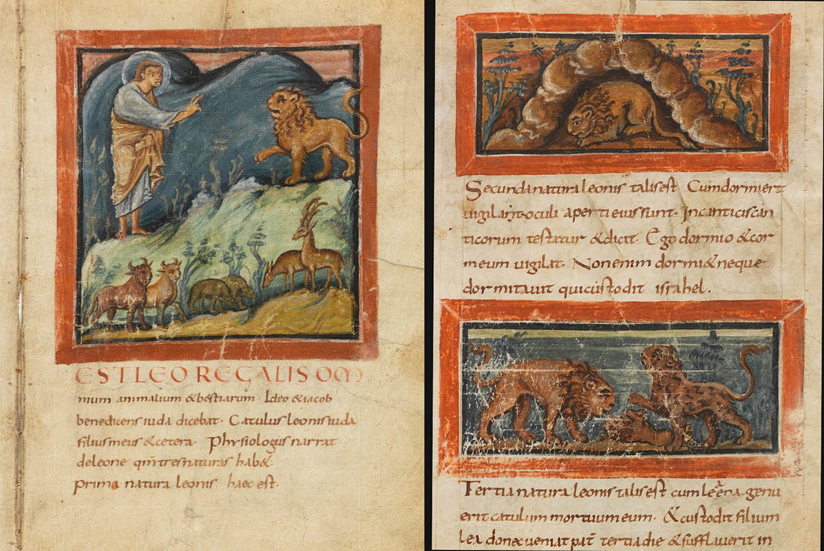 physiologus bernensis mythical beasts illumination pages