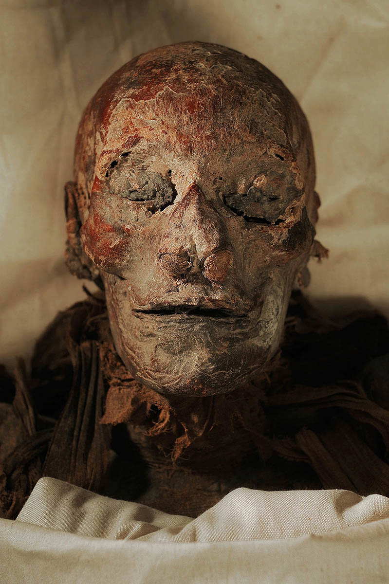 queen hatshepsut mummy photograph