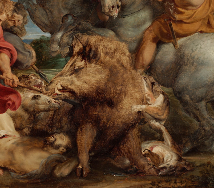 rubens calydonian boar hunt painting