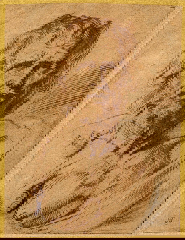 seneca drawing