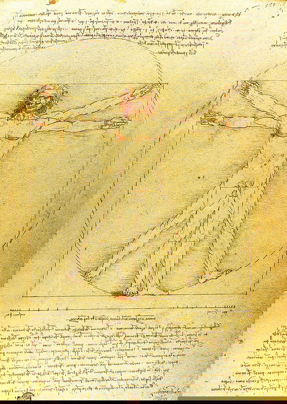 vitruvian man davinci human art posthumanism