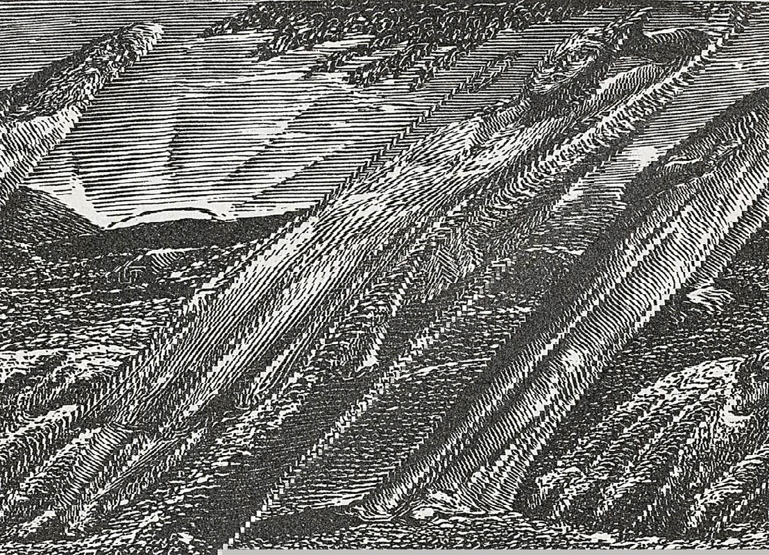 william blake thenon colinet