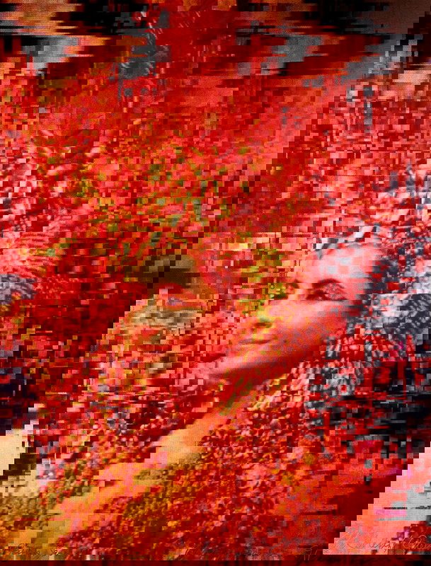 bernstein liz taylor