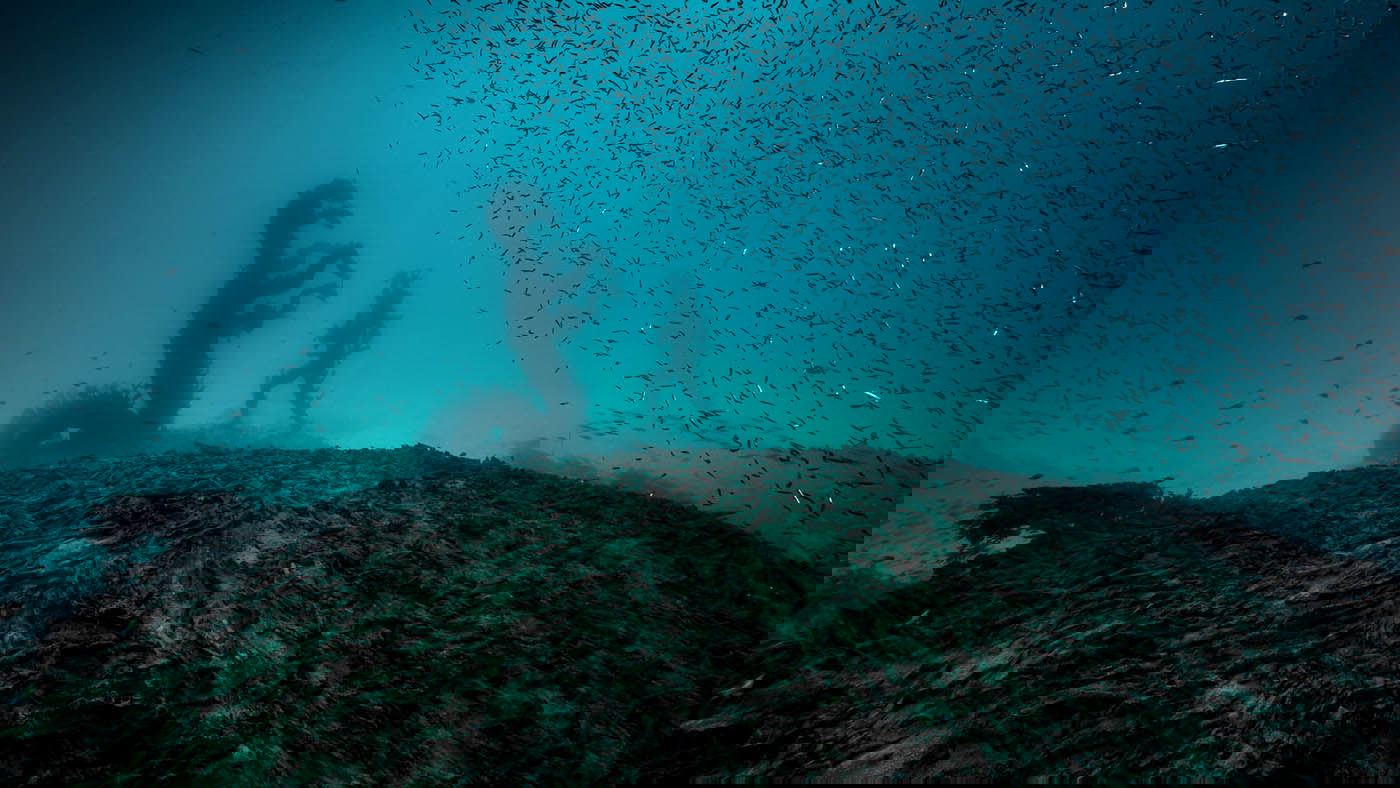 hirst kali hydra underwater shipwreck
