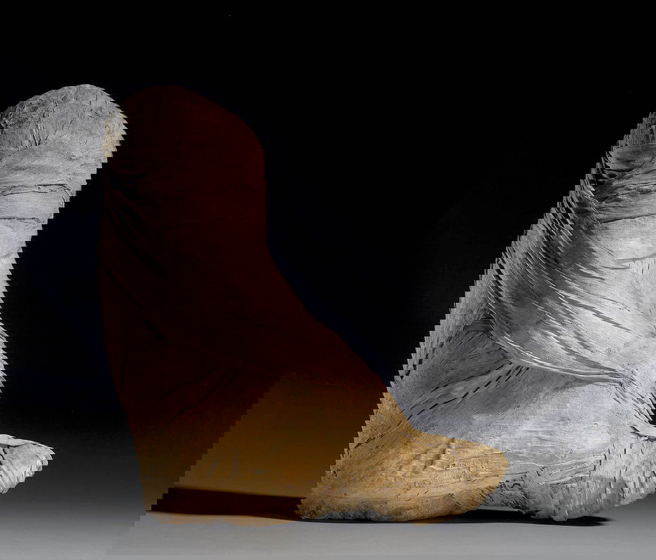 egyptian mummified animals exotic baboon