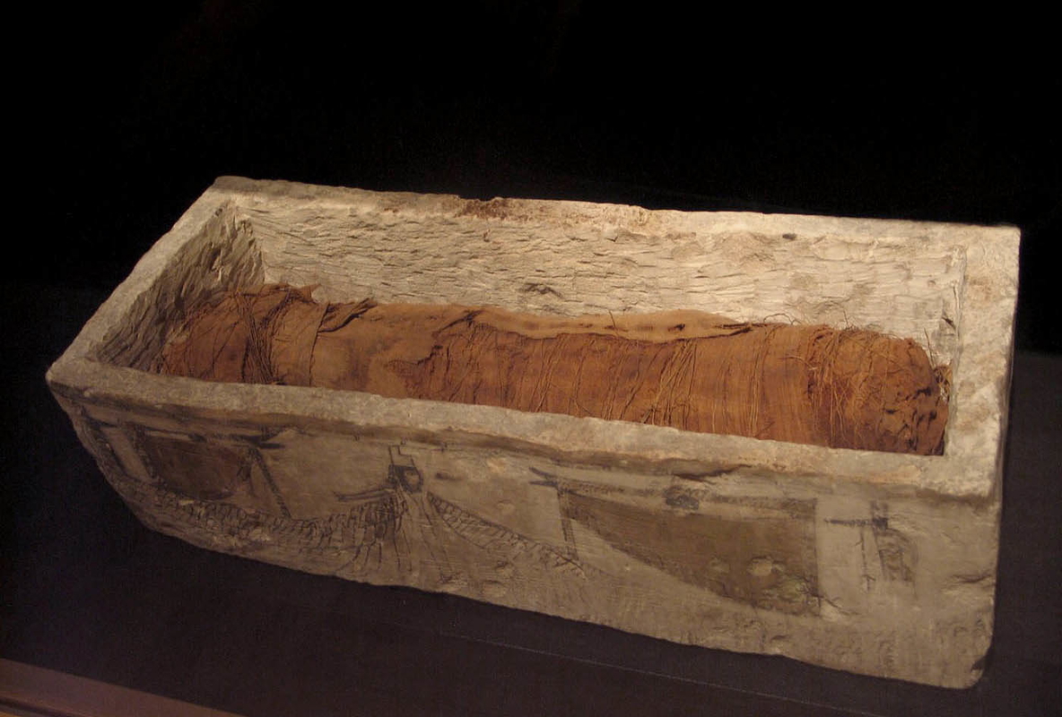 mummified animals cat sarcophagus