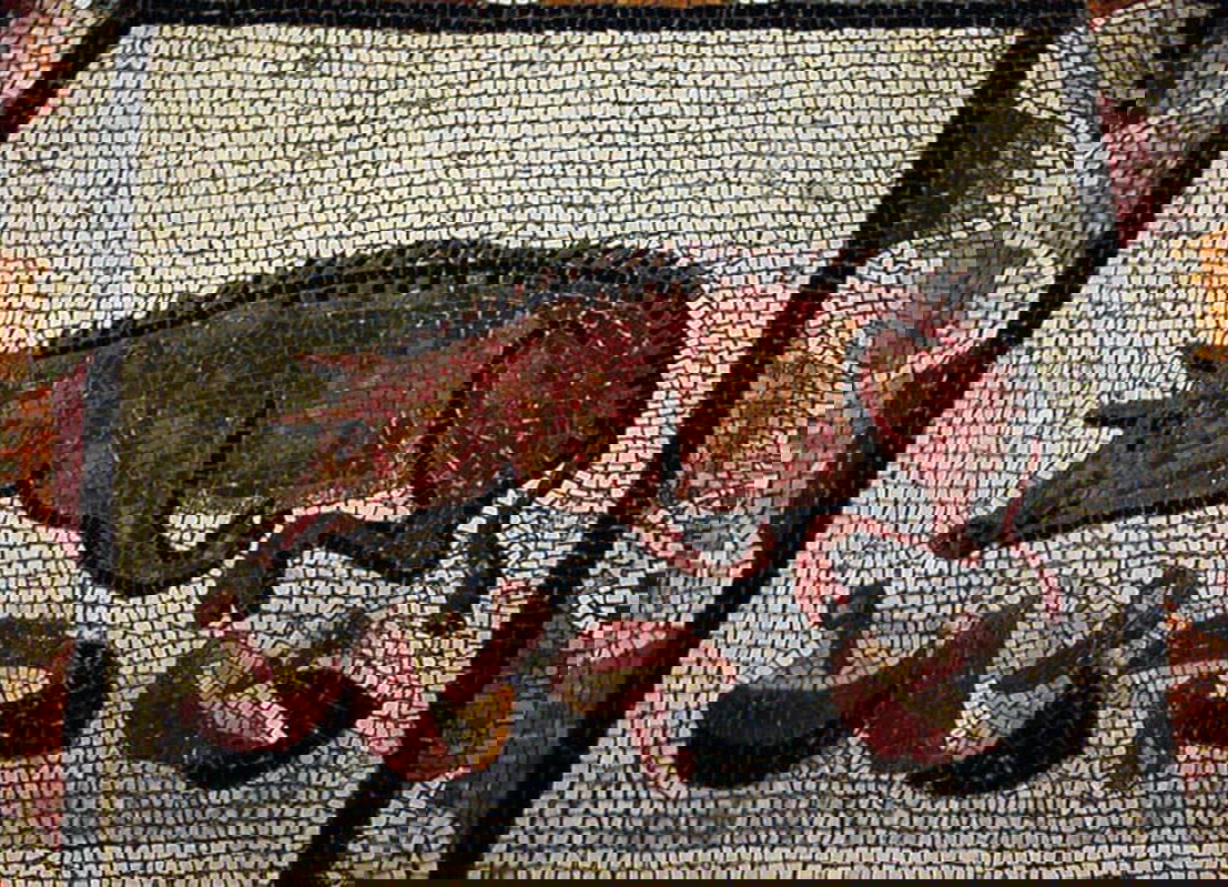 roman food truffle pig