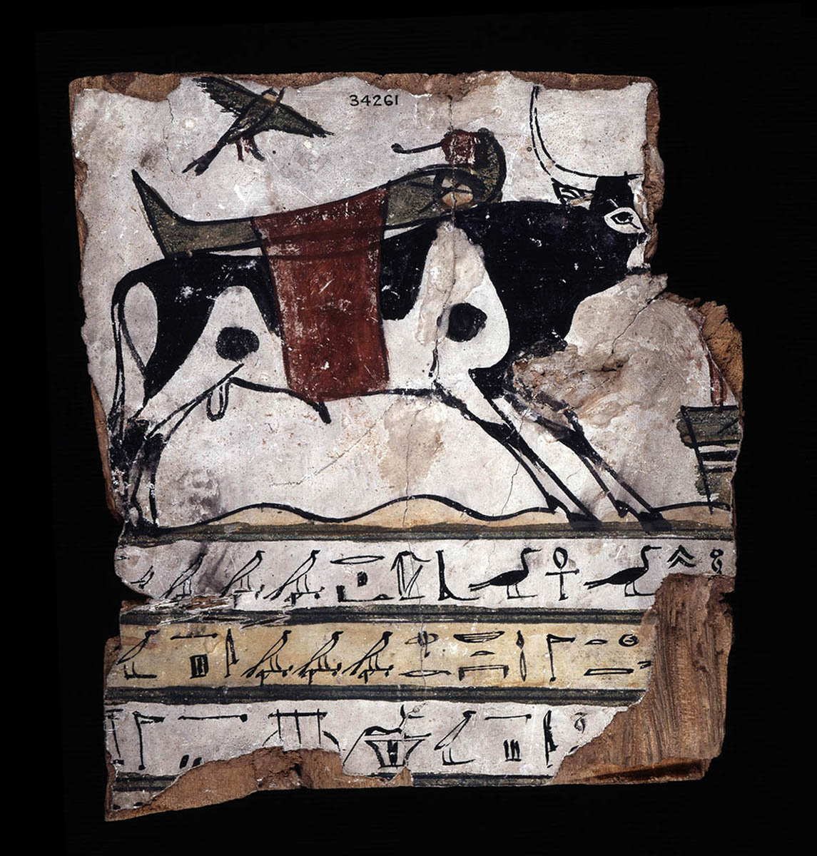 wooden coffin sacred apis bull