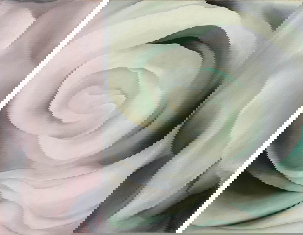 abstraction white rose dark iris no3 o keeffe