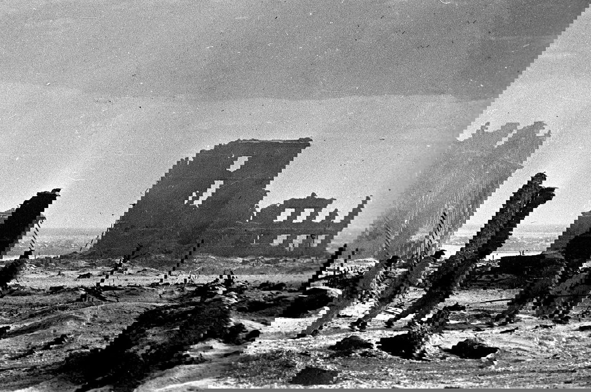 battle of stalingrad