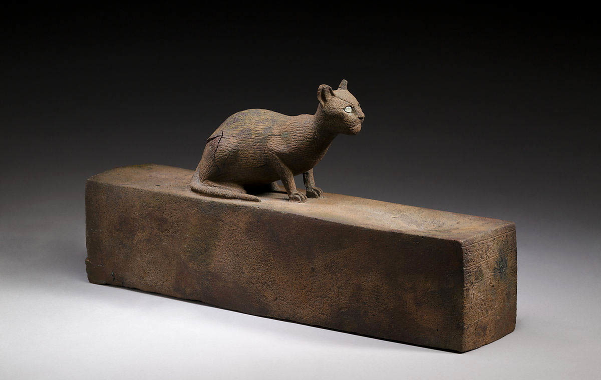cats in ancient egypt mummy box