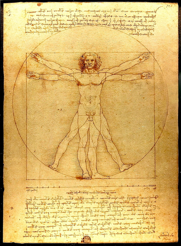 da vinci vitruvian man ideal man