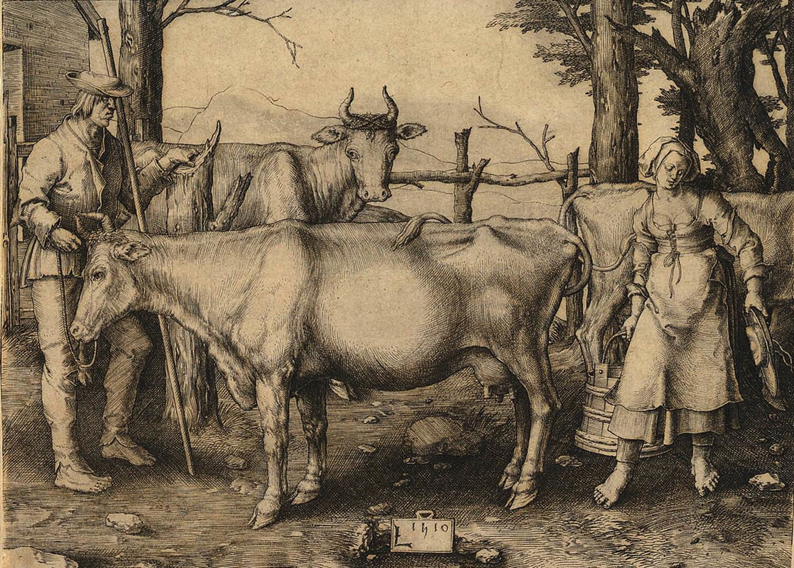milkmaid lucas van leyden met museum