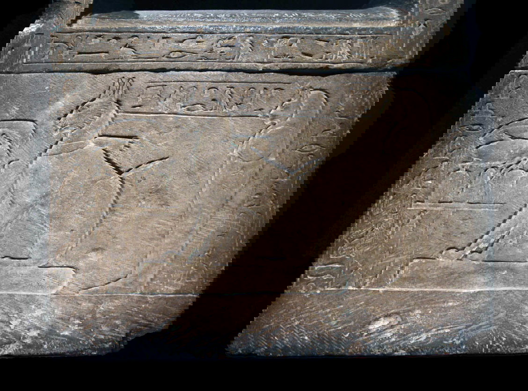 tut cat coffin