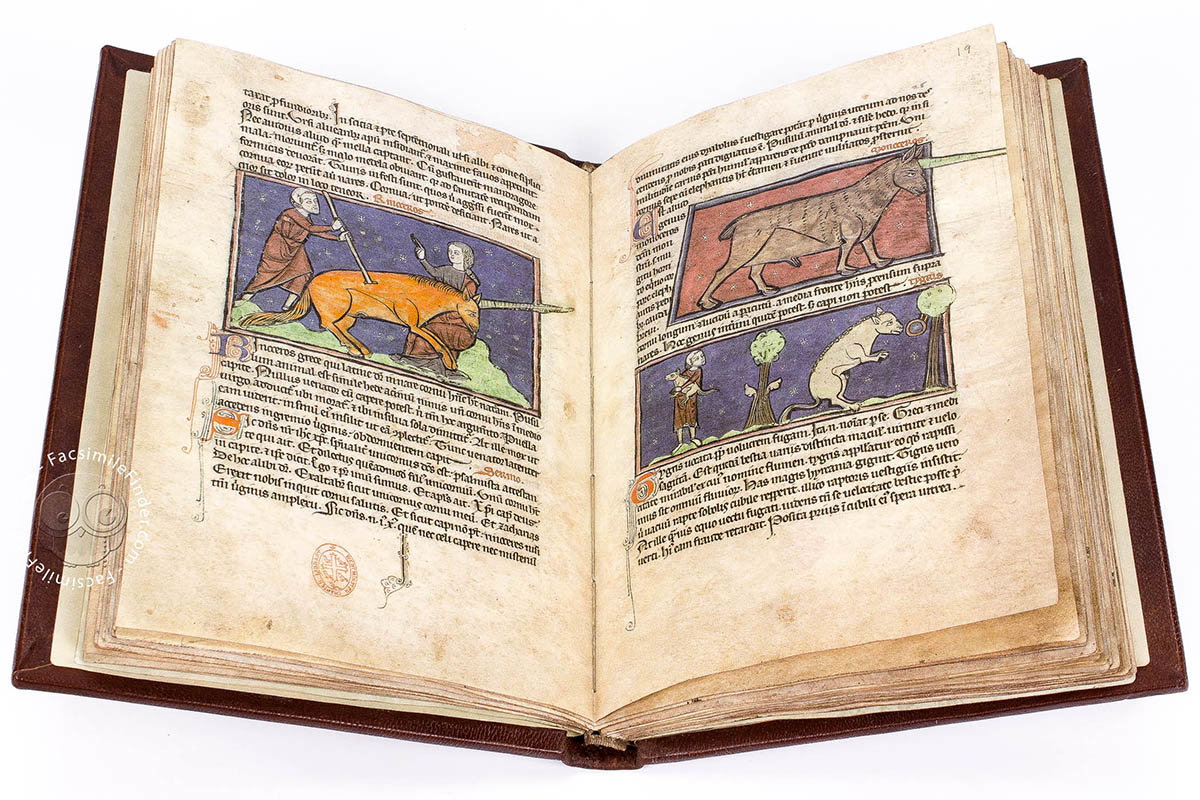 westminster abbey bestiary