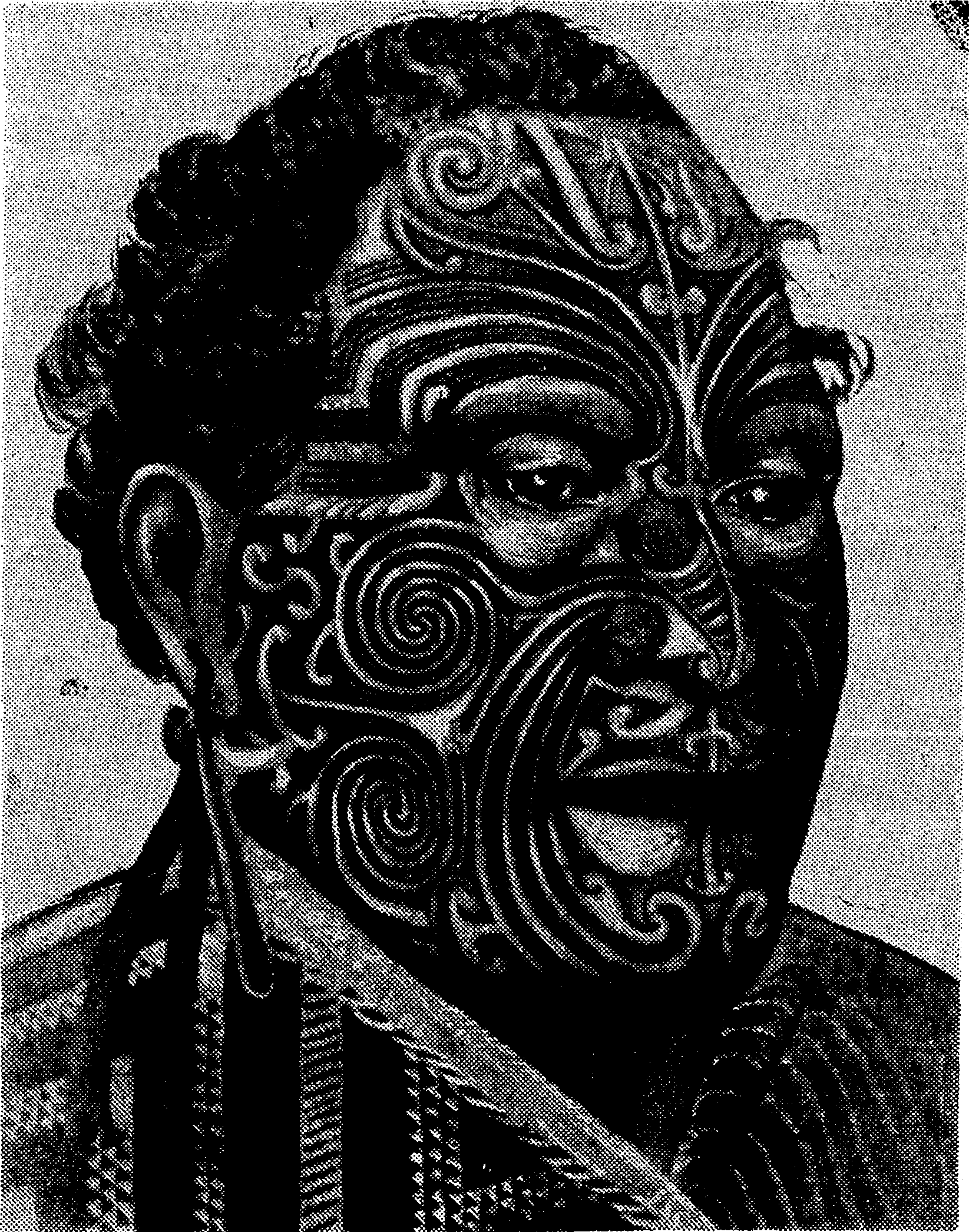 moko maori tattoo polynesian new zealand warrior chief