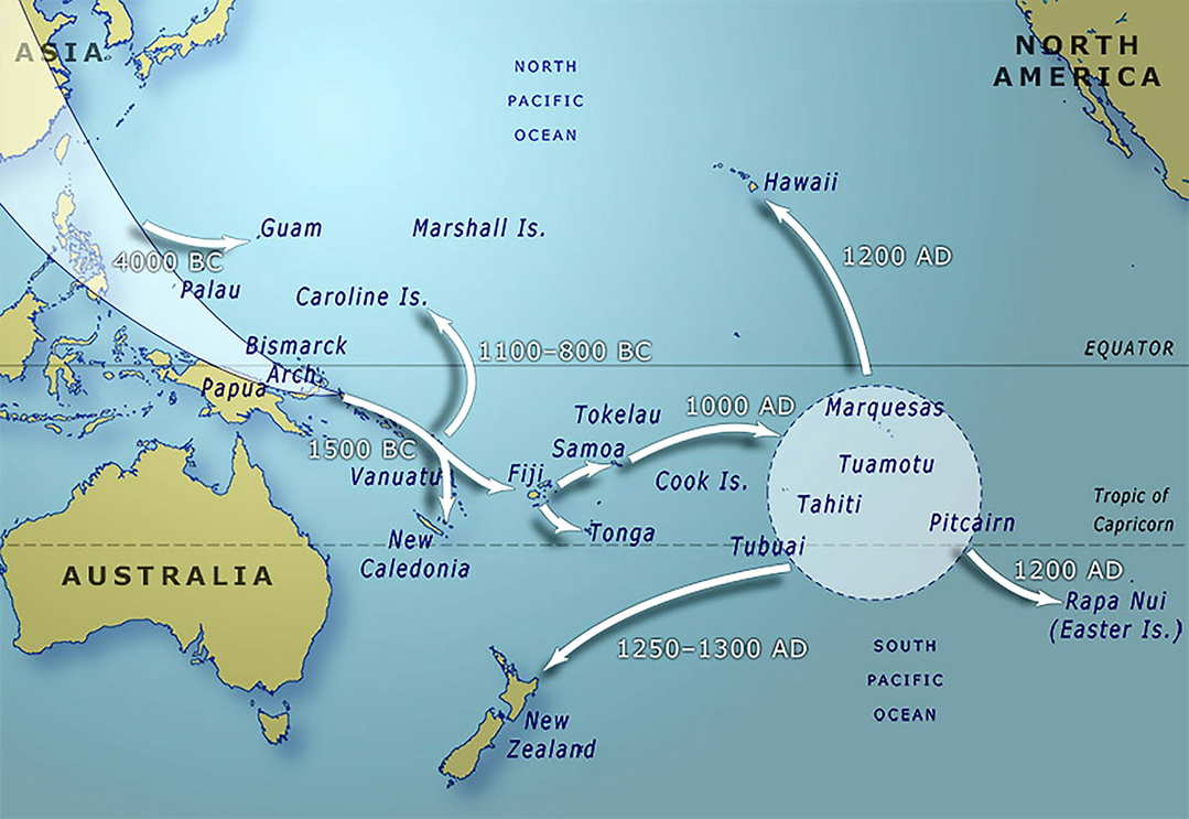 Polynesian History Facts – Histoire De La Polynésie Résumé – MSBA