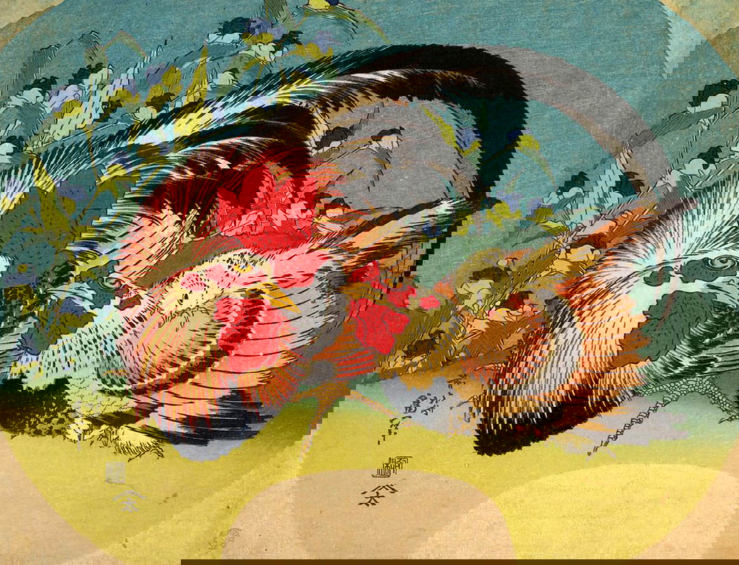 rooster hen chicken black death