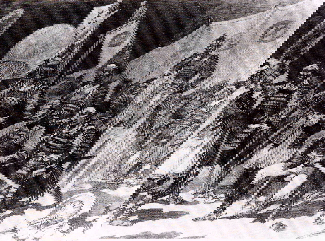 saigō takamori officers satsuma rebellion meiji restoration