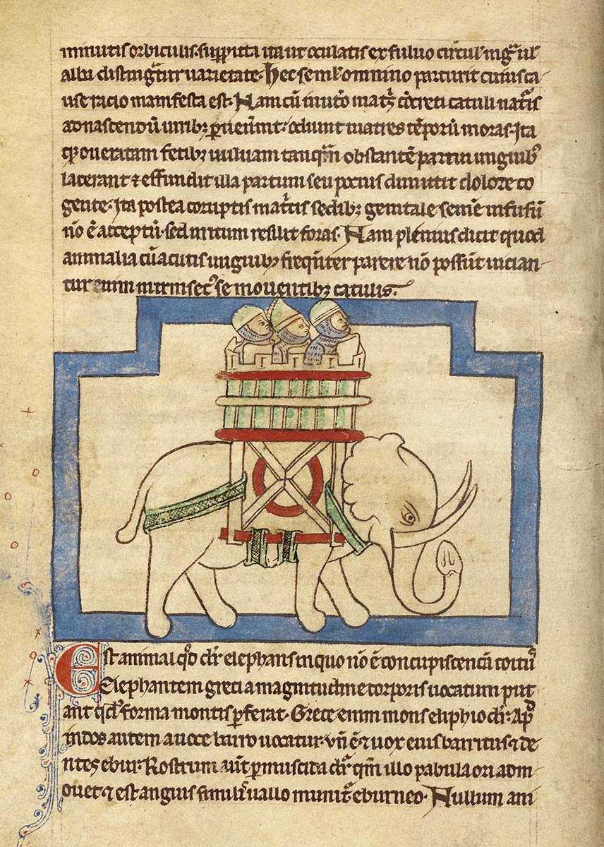 elephant medieval manuscript