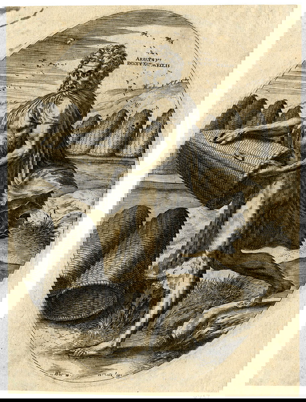 god aristaeus bees print engraving