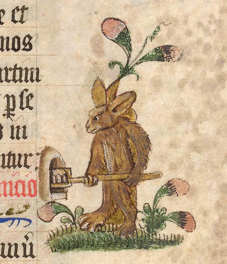 The Medieval Menagerie Animals In Illuminated Manuscripts the-medieval-menagerie-animals-in-illuminated-manuscripts