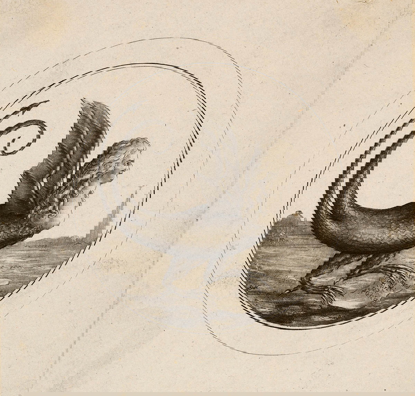 marie antoinette caricature dragon