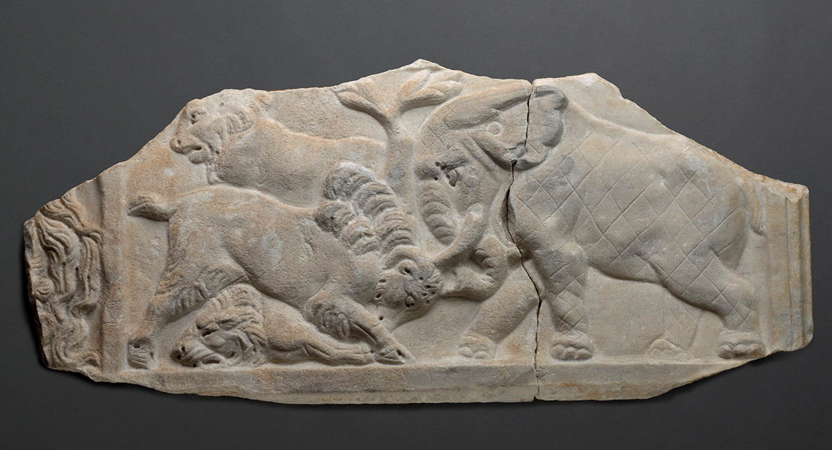 animal fight animals in ancient rome