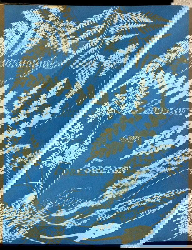 anna atkins cyanotype botanical photograph british foreign ferns