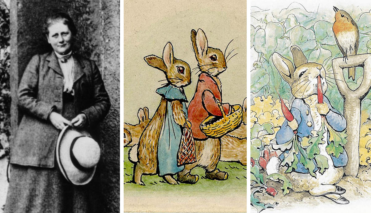 beatrix potter peter rabbit illustration