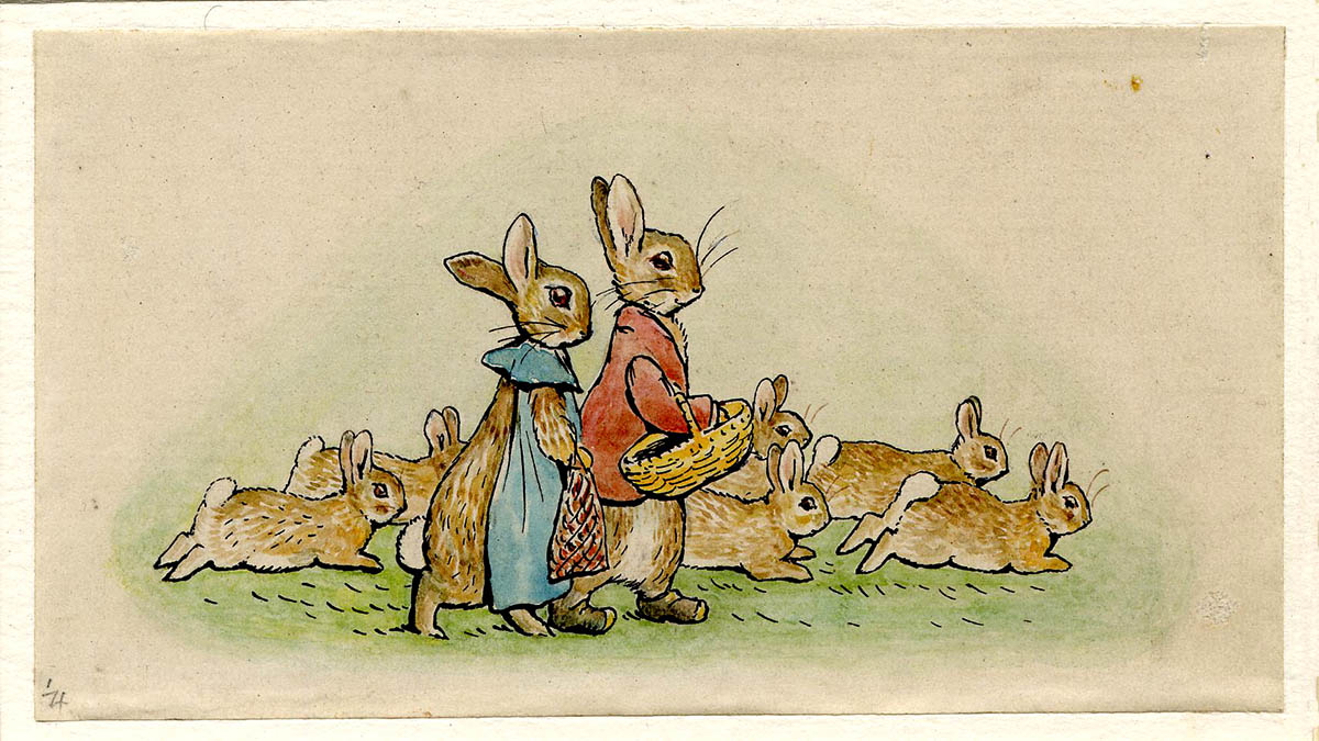 beatrix potter tale flopsy bunnies watercolor drawing