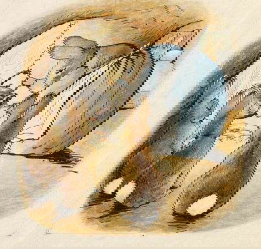 beatrix potter tale peter rabbit tea watercolor drawing