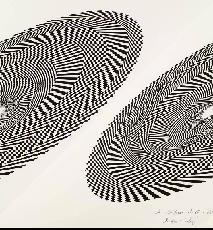 bridget riley op art blaze