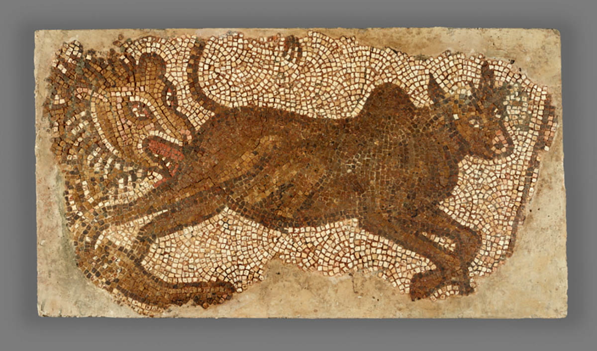 lion bull mosaic animals in ancient rome