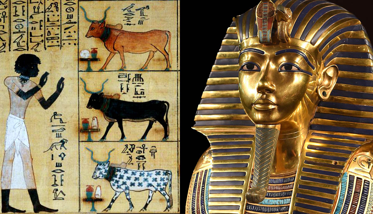 maiherpri papyrus black egyptian king tut mask