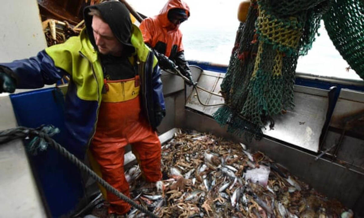 nicolas gubert seamen fishing le marmouset photo