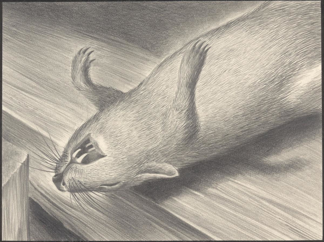 yersinia pestis dead rat black death drawing