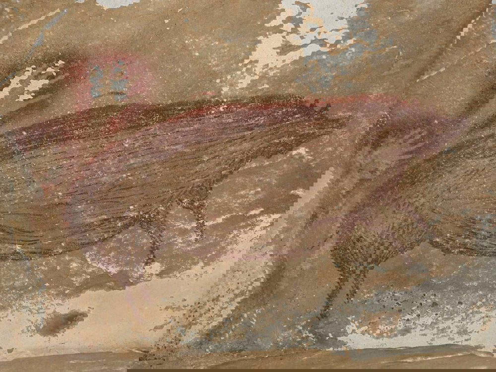 45000 year old cave painting pig indonesia