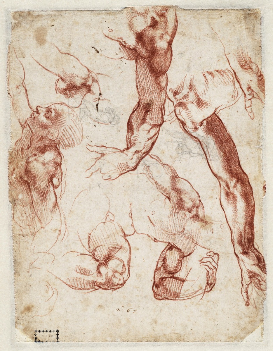 Studies by Michelangelo of details for the Creation of Adam, 1508. Source: British Museum