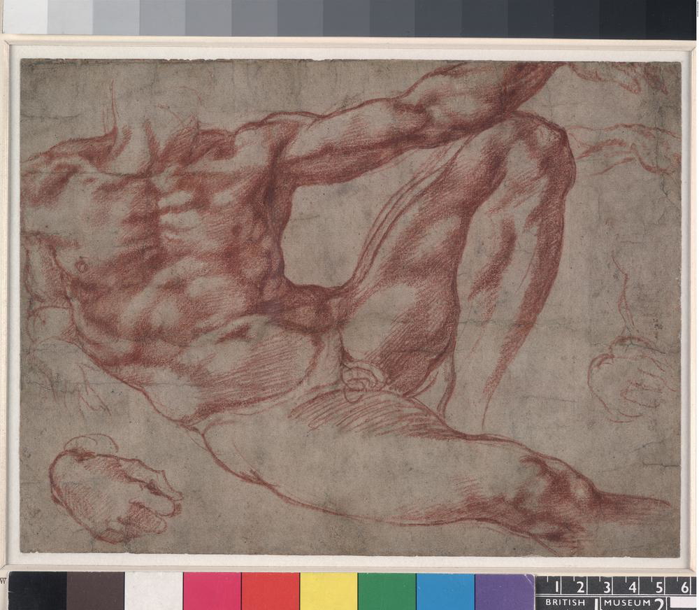 Study by Michaelangelo of the reclining Adam, 1511. Source: British Museum