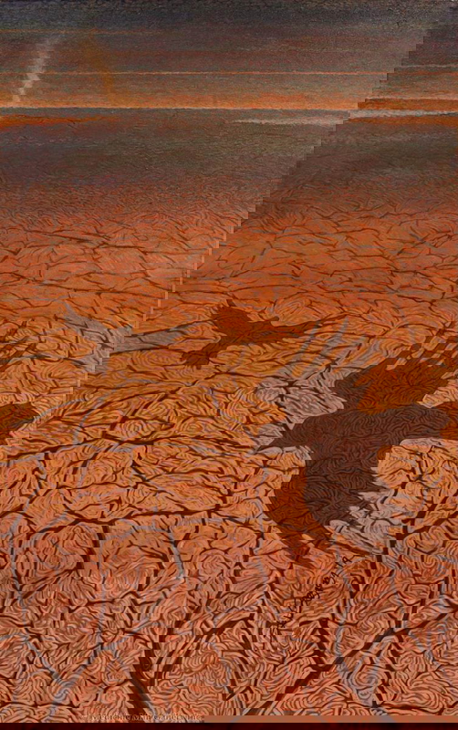 above parched ground 2019 shonto begay drought