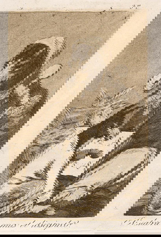 francisco goya does the pupil know more