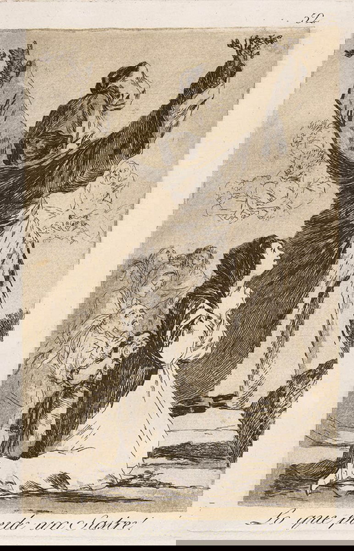 francisco goya what a tailor can do