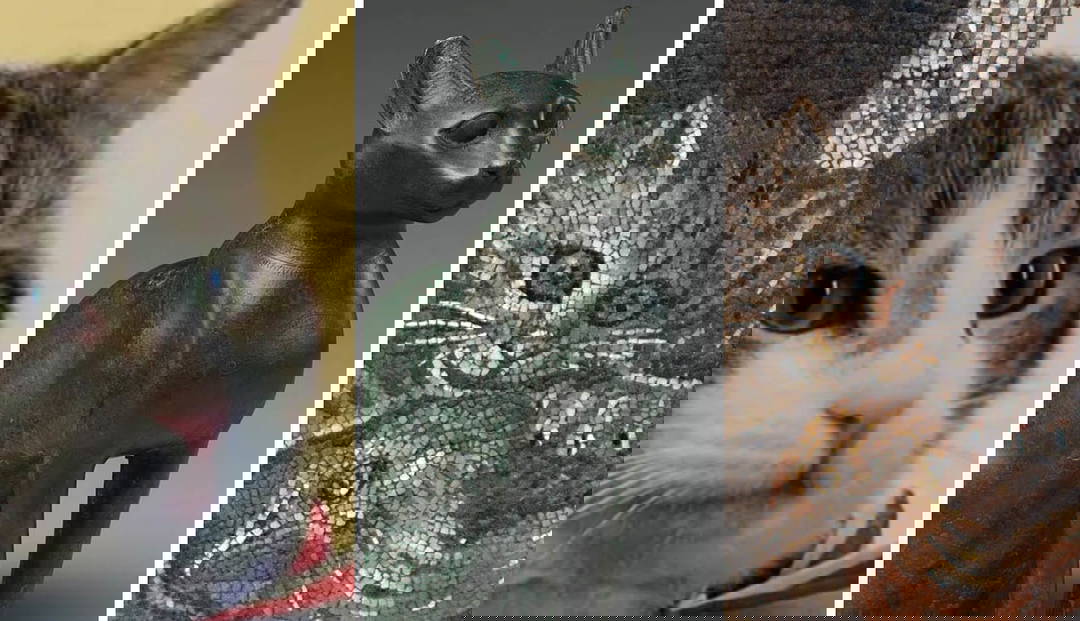 The History of Cats in Human Civilization