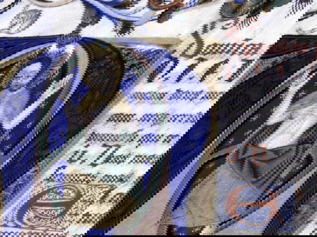 The History of Cats in Human Civilization